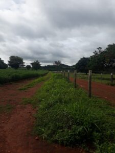 whatsapp image 2026 04 27 at 19.58.24