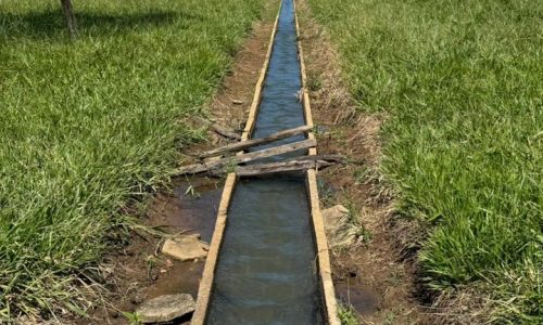 whatsapp image 2026 04 27 at 19.47.33
